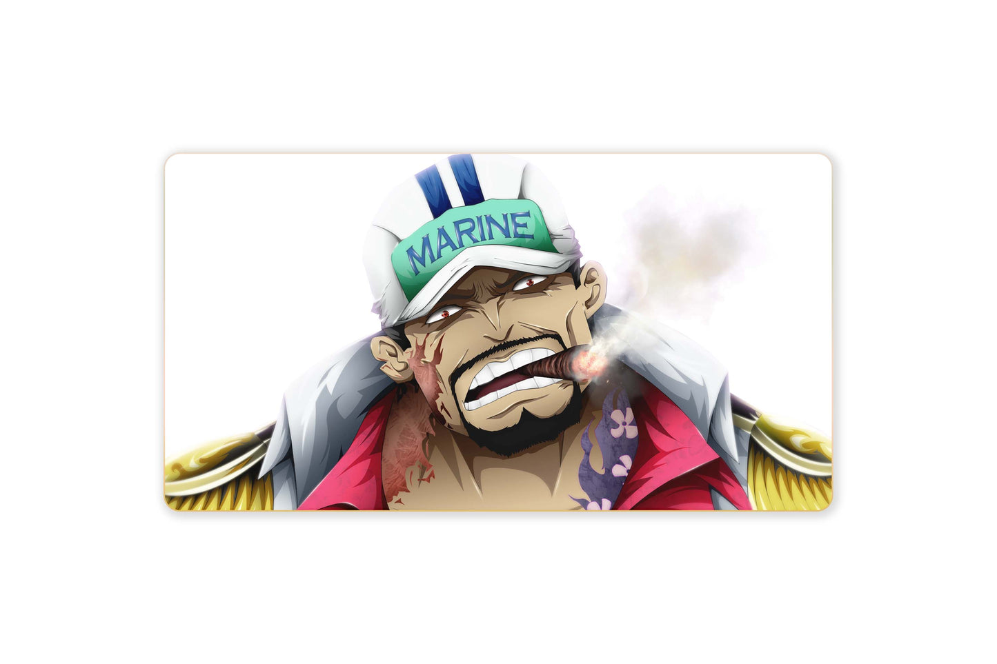 Admiral Akainu