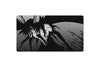 Ulquiorra Cifer